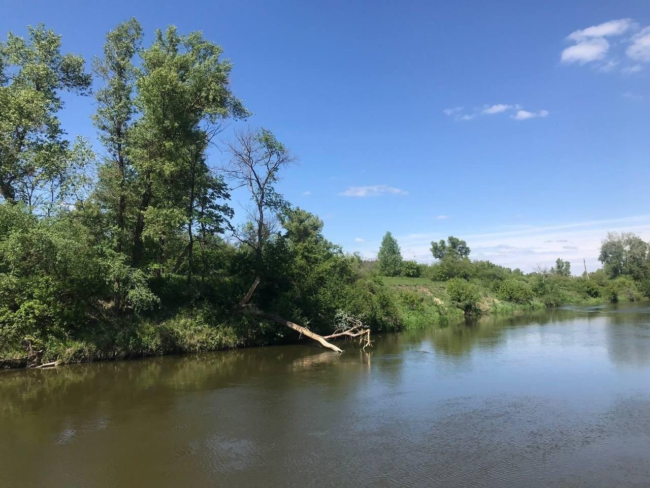Река обмелела, дороги разбиты: жители Лысогорского района жалуются саратовскому губернатору